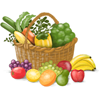 Micro Nutrients